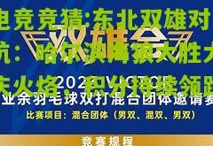 电竞竞猜:东北双雄对抗：哈尔滨海狼大胜大庆火烙，积分持续领跑