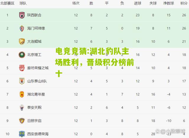 湖北豹队主场胜利，晋级积分榜前十