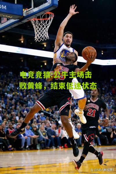 公牛主场击败黄蜂，结束低迷状态