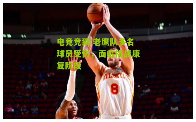 老鹰队多名球员受伤，面临挑战康复阶段