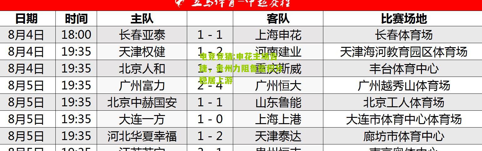 申花主场告捷，贵州力阻鲁能积分稳居上游