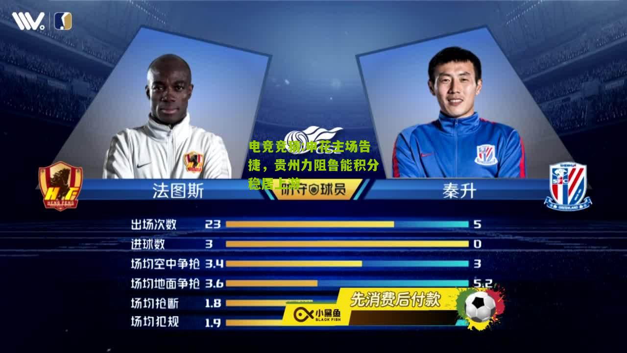 申花主场告捷，贵州力阻鲁能积分稳居上游