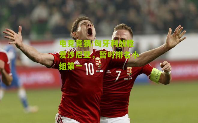 匈牙利战胜爱沙尼亚，暂时排名小组第一