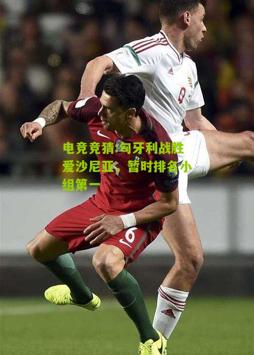 匈牙利战胜爱沙尼亚，暂时排名小组第一