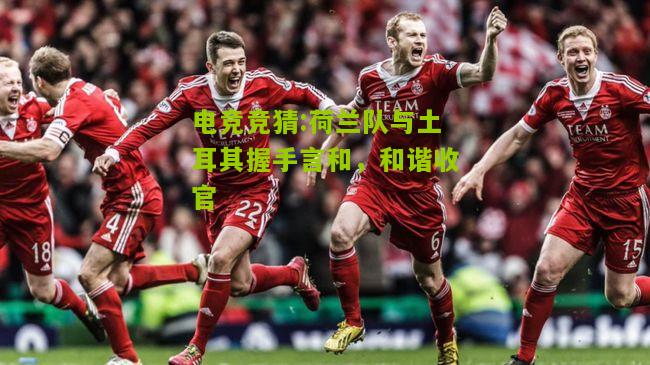 荷兰队与土耳其握手言和，和谐收官