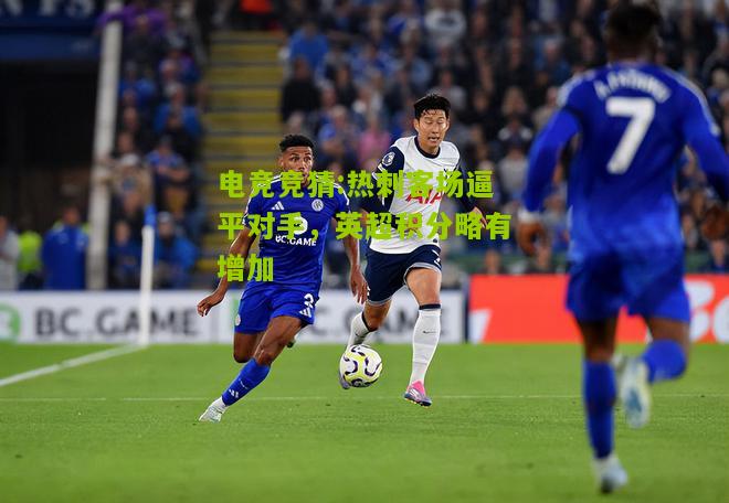 热刺客场逼平对手，英超积分略有增加