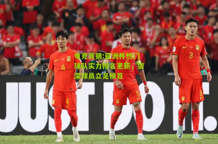 亚洲杯热门球队实力排名更新，资深球员立足榜首