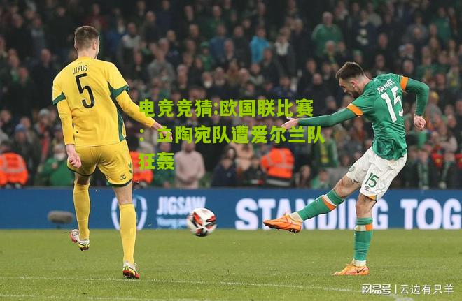 欧国联比赛：立陶宛队遭爱尔兰队狂轰