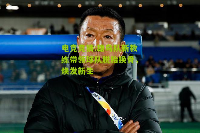 雄鸟队新教练带领球队脱胎换骨，焕发新生