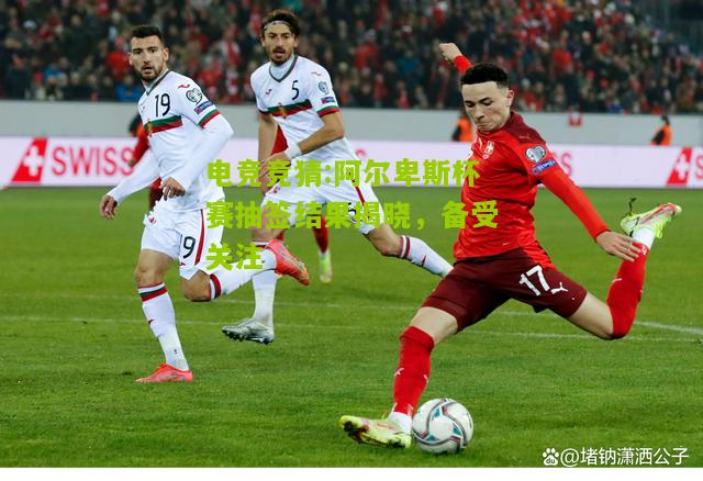 阿尔卑斯杯赛抽签结果揭晓，备受关注