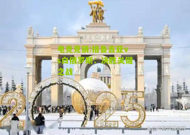 格鲁吉亚vs白俄罗斯：决胜关键之战