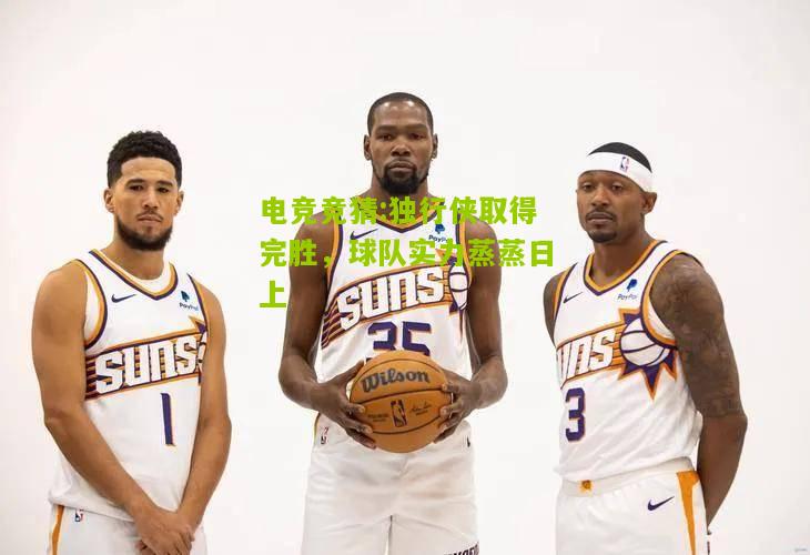 独行侠取得完胜，球队实力蒸蒸日上