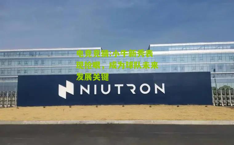 小牛新秀表现抢眼，成为球队未来发展关键